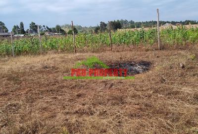 0.05 ha Residential Land at Lusingetti - 4