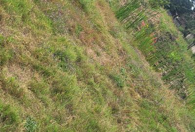 Land in Karen - 2
