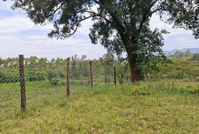 Land in Karen - 4