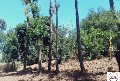 15 ac Land at Touching Nanyuki River - 3