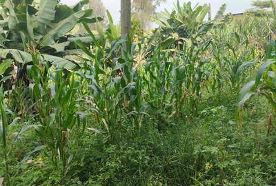 Residential Land at Kerarapon Road