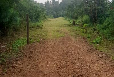 Land in Diani