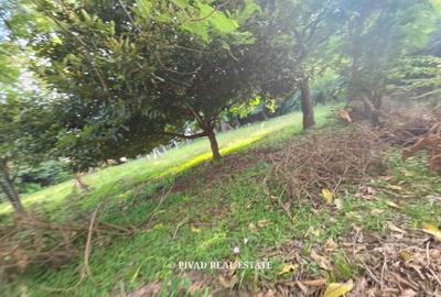 1 ac Land in Runda