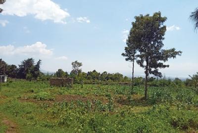 5 ac Land in Naivasha - 2