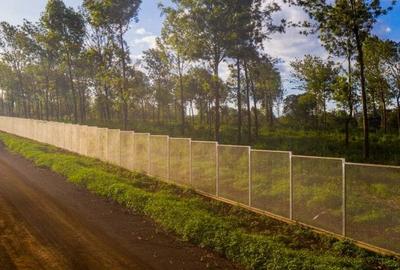 0.125 ac Land in Ruiru - 3