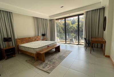 4 Bed Apartment with En Suite in Spring Valley - 3