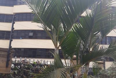 1,898 ft² Office with Backup Generator in Westlands Area - 2
