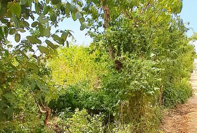 Land at Diani Beach Road - 4