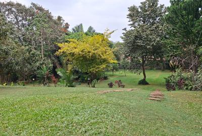 5 Bed House with En Suite at Close To Un - 4