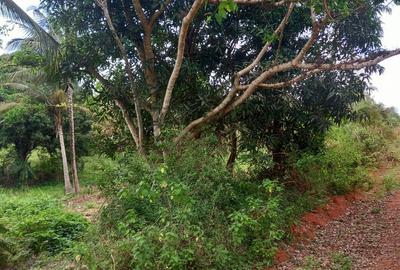 6 ac Land at Msambweni - 3