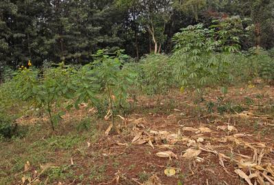 Land at Thindigua - 3