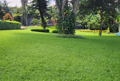 6 Bed Apartment with En Suite at Runda - 2