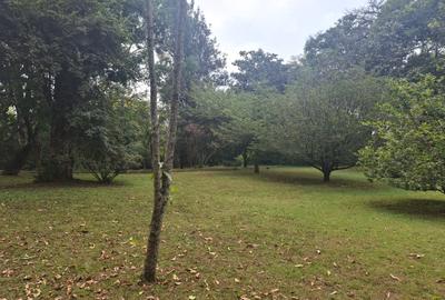 Land at Off Ridgeways/Kiambu Rd - 3