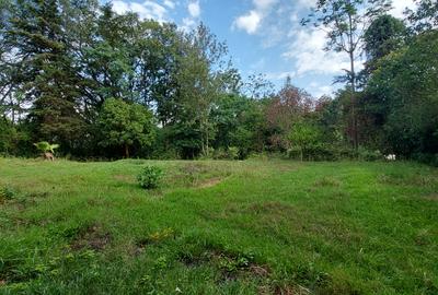 Residential Land at Runda Grove - 2