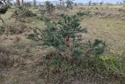 0.115 ac Land in Nanyuki - 3