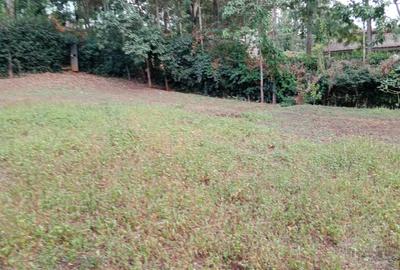 0.5 ac Land at Ololua - 3