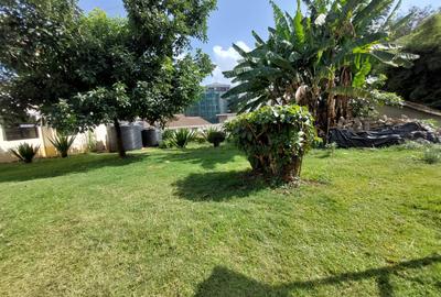 Residential Land at Rhapta Rd