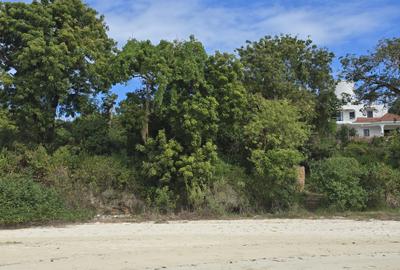 Commercial Land at Mt Kenya - 2