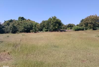 Land in Diani - 3