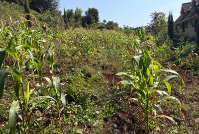 0.025 ac Land in Ngong - 4