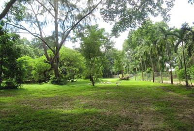 7 ac Commercial Land at Mtwapa - 3