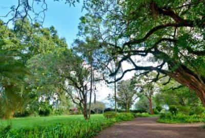 0.125 ac Land in Ruiru - 2