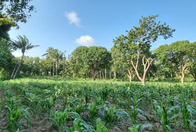 1 ac Land at Mtwapa - 3