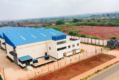 947 m² Warehouse with Service Charge Included in Tatu City - 4