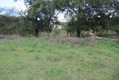 Residential Land at Ololua Ridge - 3