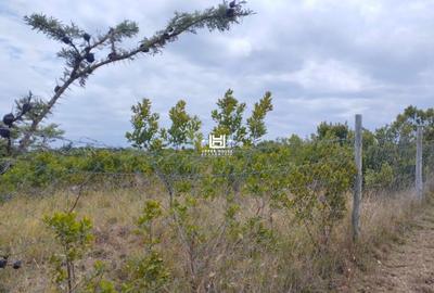 1 ac Land in Nanyuki - 4