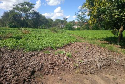 1.25 ac Land at Kamakis - 2