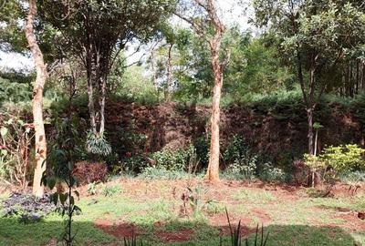 5 Bed House with En Suite at Mimosa Road - 2