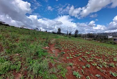 Land at Kibiko - 2