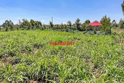 0.125 ac Residential Land at Kamangu - 3