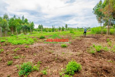 0.05 ha Residential Land at Nduiguine