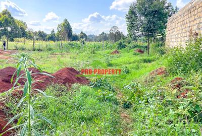 0.075 ha Residential Land at Ondiri - 4