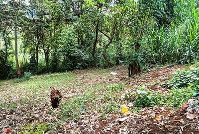 0.741 ac Land in Ruaka - 4