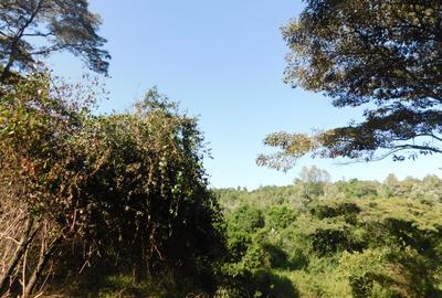 Residential Land at Karen