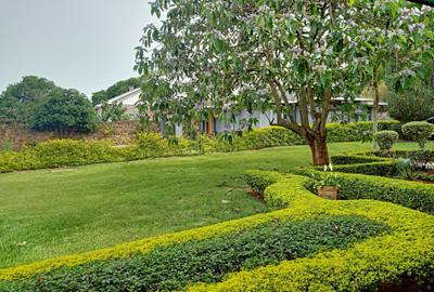3 Bed House with En Suite at Nyari - 3