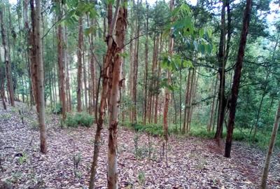 Land at Upper Matasia - 2
