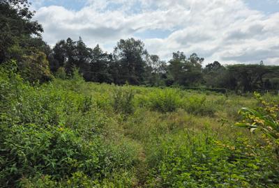 Land in Karen - 2