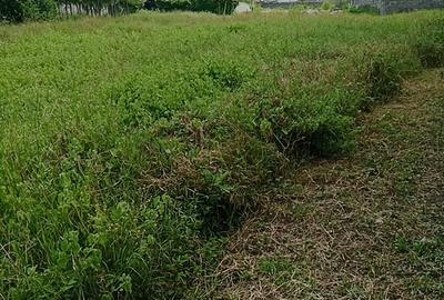 0.215 ac Residential Land at Chuna