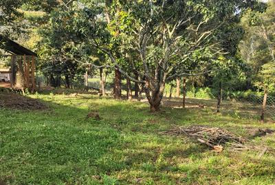Land in Karen - 4