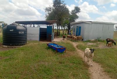 450 m² Land at Sajiloni - 3