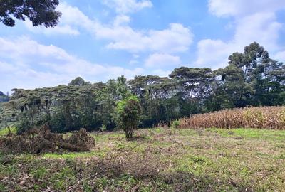 Land in Karen - 4