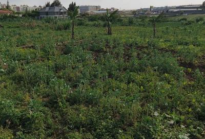 405 m² Residential Land at Sabaki - 2