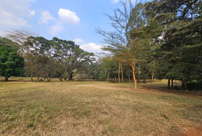Land in Runda