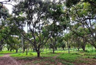 46 ac Land at Greenwood Mtwapa - 2