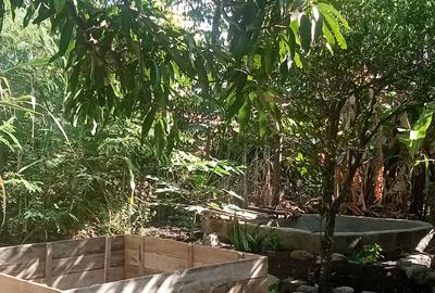 10 Bed House with Garden at Mwea - 3