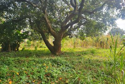 Land in Lower Kabete - 2